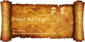 Panyi Bálint névjegykártya